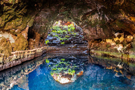 Špilja Jameos del Agua