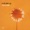 Coldplay - Yellow